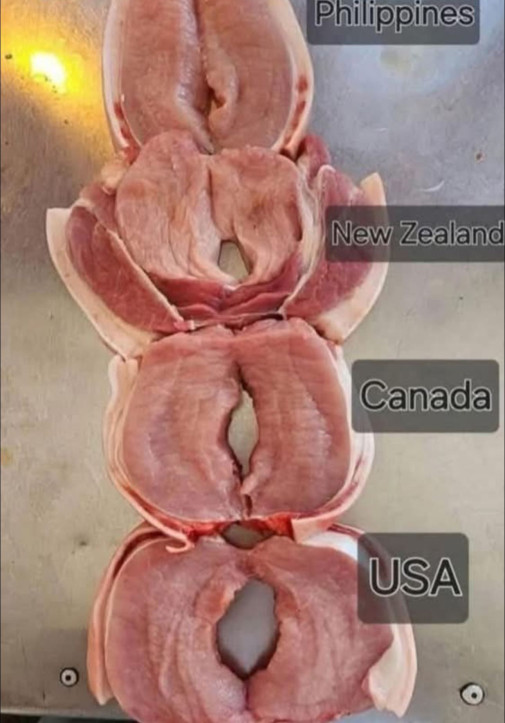 mäso